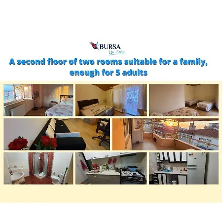 Lux Shared Room בית אירוח *