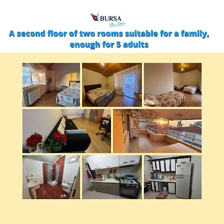 Lux Shared Room